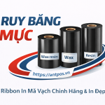 RUY BĂNG MỰC